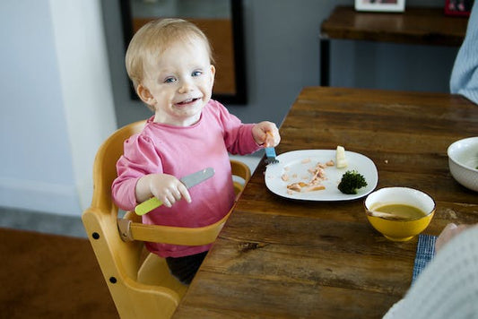 5 of the Best High Chairs & Booster Seats for Thanksgiving - ANB BABY