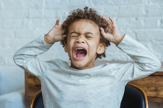 6 Tips You Need to Know for Effectively Handling Temper Tantrums - ANB BABY