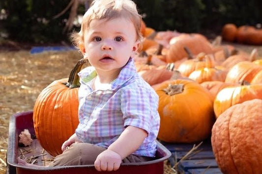 Grab a Wagon! 8 Fun Family Activities to Try This Fall - ANB BABY