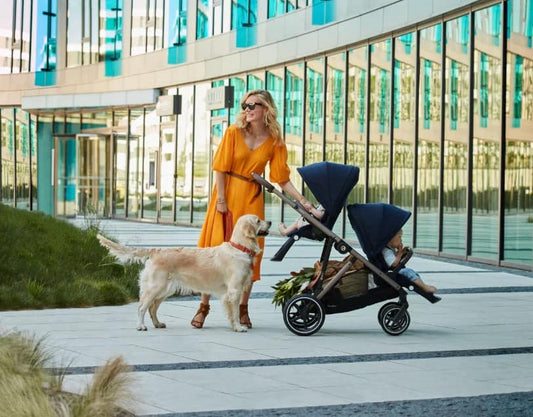 The Best Double Strollers: 6 You'll Love From ANB Baby - ANB BABY