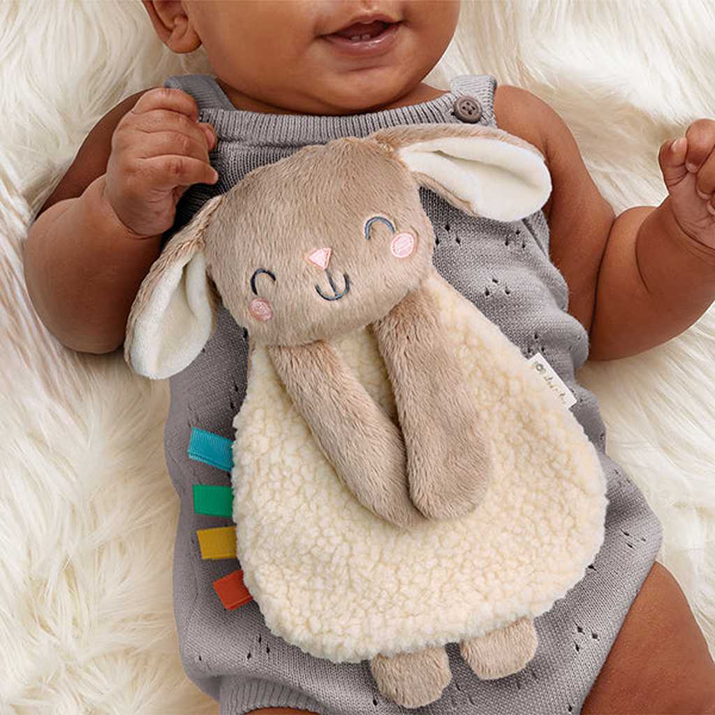 Itzy Ritzy Learn & Snuggle Gift Set, Bunny,2 - ANB BABY