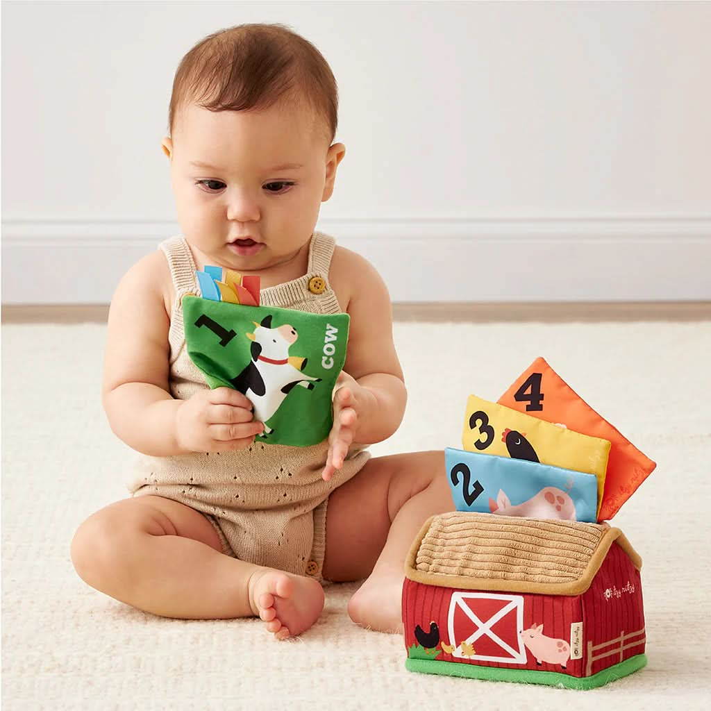 Itzy Ritzy Sensory Scarves Pull-And-Take Toy, Farm_2- ANB Baby