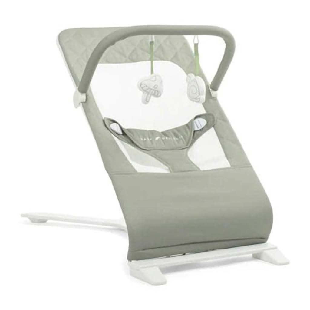 Baby Delight Alpine Deluxe Portable Bouncer, ANB BABY