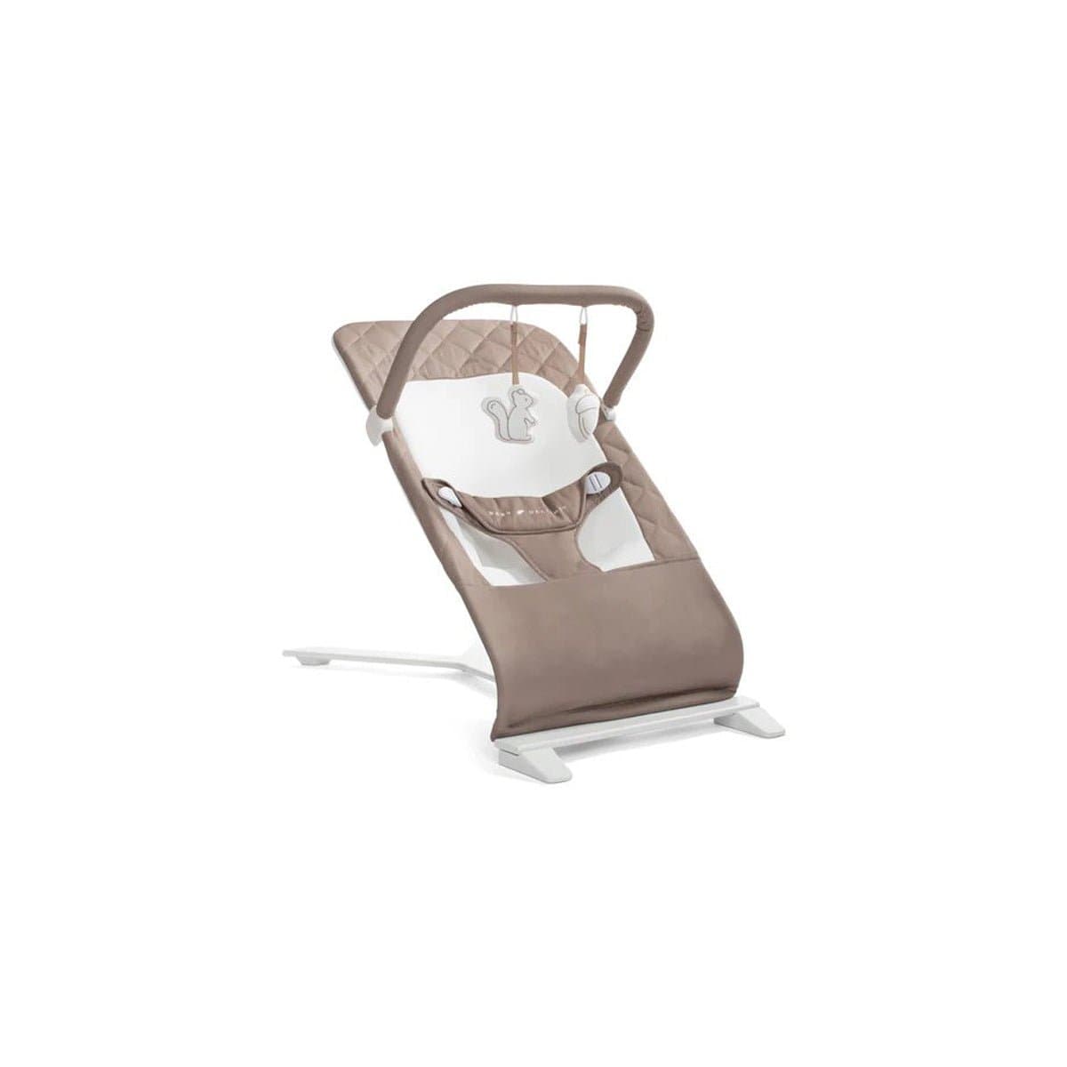 Baby Delight Alpine Deluxe Portable Bouncer, 819956002040 - ANB Baby