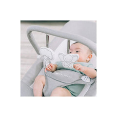 Baby Delight Highland Deluxe Portable Bouncer, 819956001913 - ANB Baby