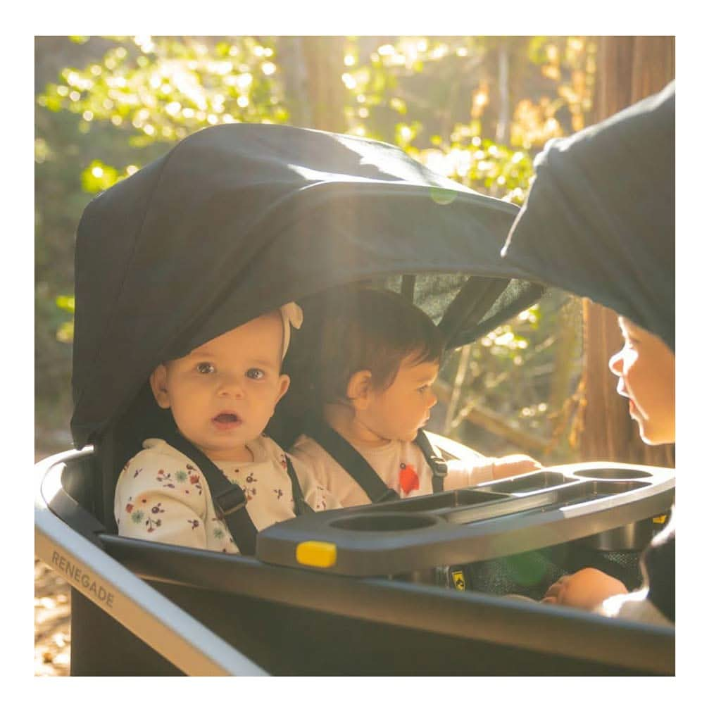 BOB Renegade Wagon Canopy Kit 2 Pack, Black, ANB BABY