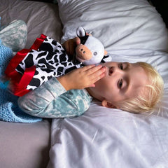 Frankie Dean Dream Blanket and Book, Maggie the Cow, ANB BABY