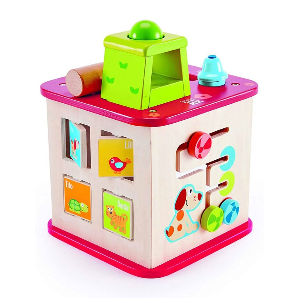 HAPE Friendship Activity Cube, ANB BABY