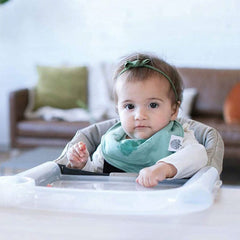 Inglesina Fast Table Chair Dining Tray Plus, Clear, ANB BABY