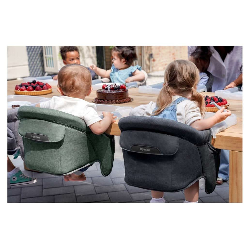 Inglesina Premium Fast Table Chair, ANB BABY