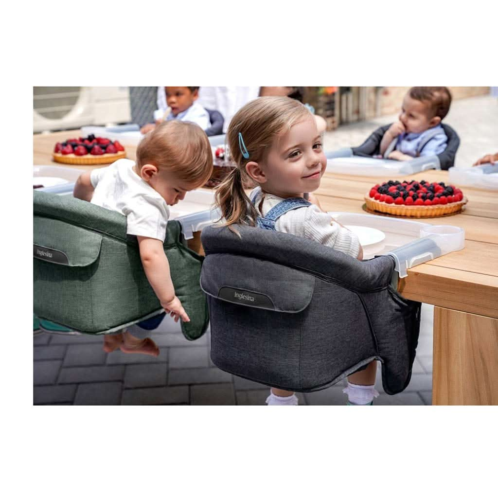 Inglesina Premium Fast Table Chair, ANB BABY