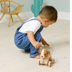 Little Big Friends Adrien The Dog Pull Along, ANB BABY