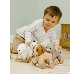 Little Big Friends Adrien The Dog Pull Along, ANB BABY