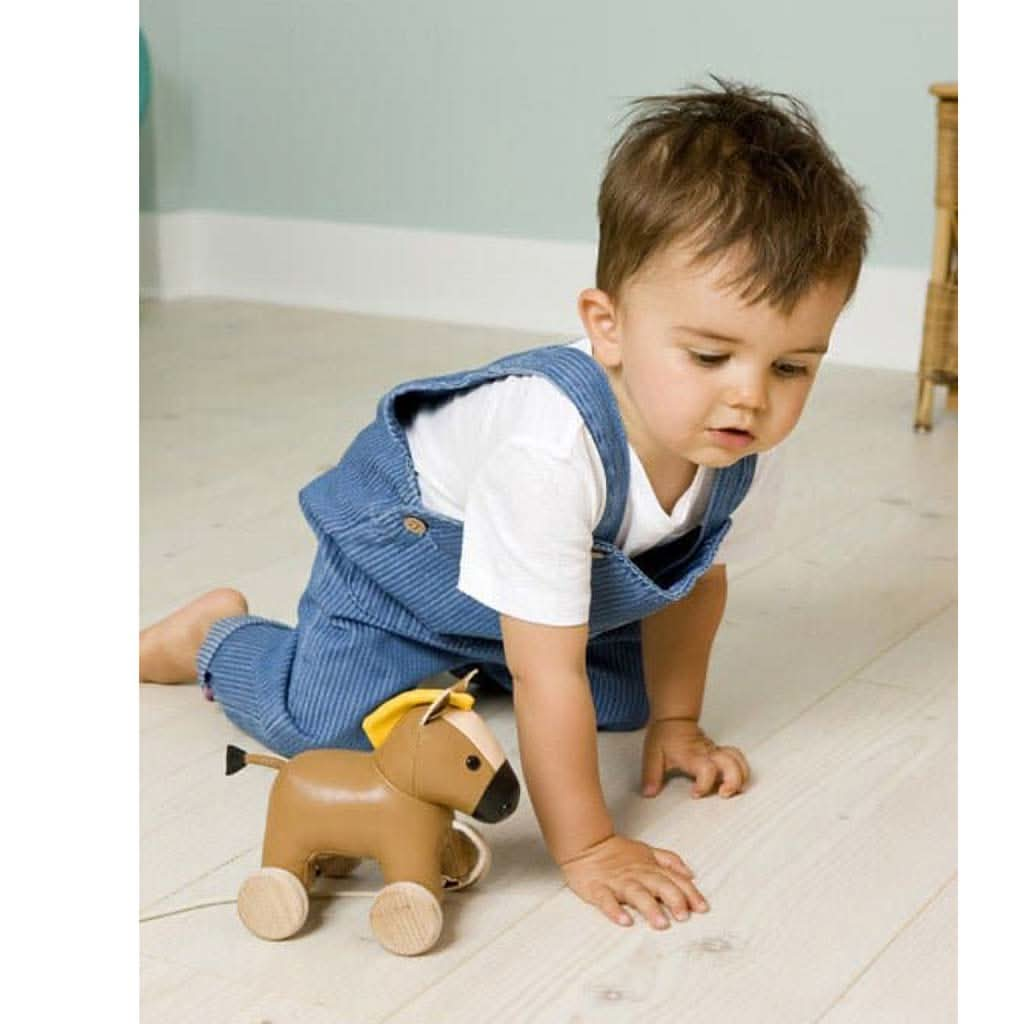 Little Big Friends Charles The Horse Pull Along, ANB BABY