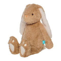 Manhattan Toy Snuggle Bunnies Willow, ANB BABY