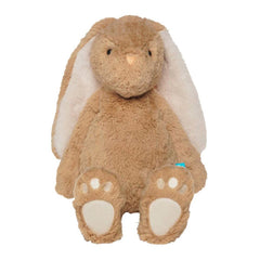 Manhattan Toy Snuggle Bunnies Willow, ANB BABY