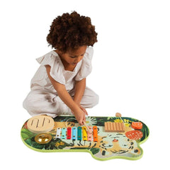 Manhattan Toy Tiger Tunes Wooden Musical Toy, ANB BABY