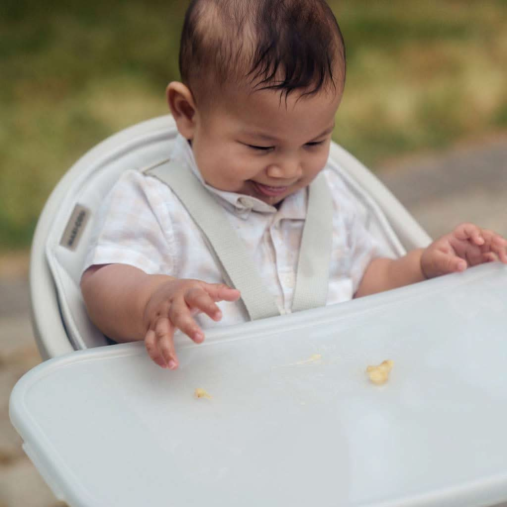 Maxi - Cosi Moa 8 - in - 1 High Chair, ANB BABY