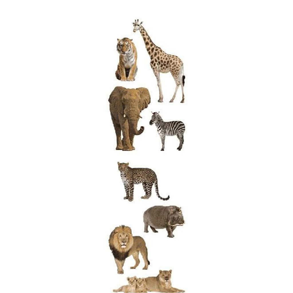 Mrs Grossman's Strip of Photoessence of Wild Animals Stickers, ANB BABY