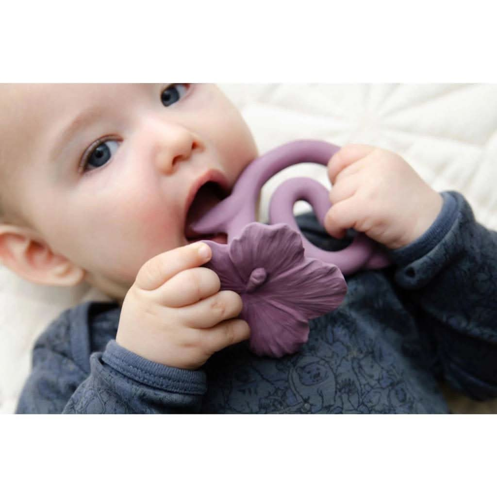 Natruba Hawaii Flower Teether, Purple, ANB BABY