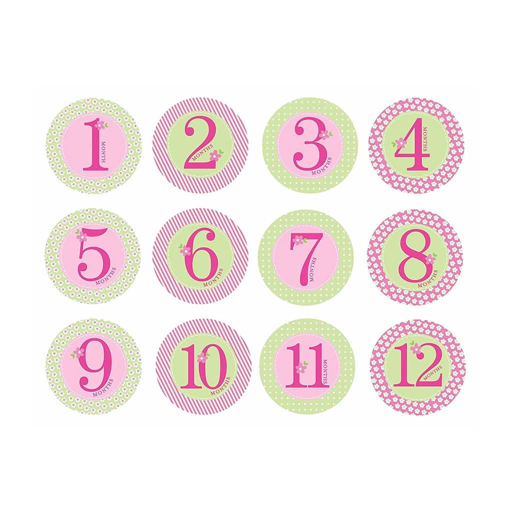 PEARHEAD Baby Milestone Stickers, Pink, ANB BABY