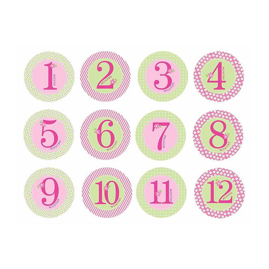 PEARHEAD Baby Milestone Stickers, Pink, ANB BABY