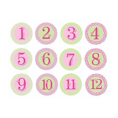 PEARHEAD Baby Milestone Stickers, Pink, ANB BABY