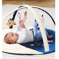 Skip Hop Baby Play Gym, Celestial Dreams, ANB BABY