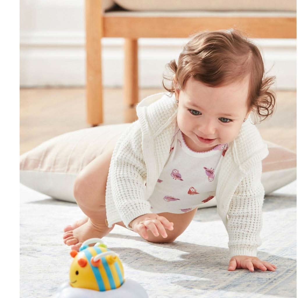 Skip Hop Explore & More 3 - Stage Follow - Me Developmental Learning Crawl Toy, Bee, ANB BABY