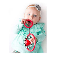 SmartNoggin NogginRings Baby Toy, ANB BABY