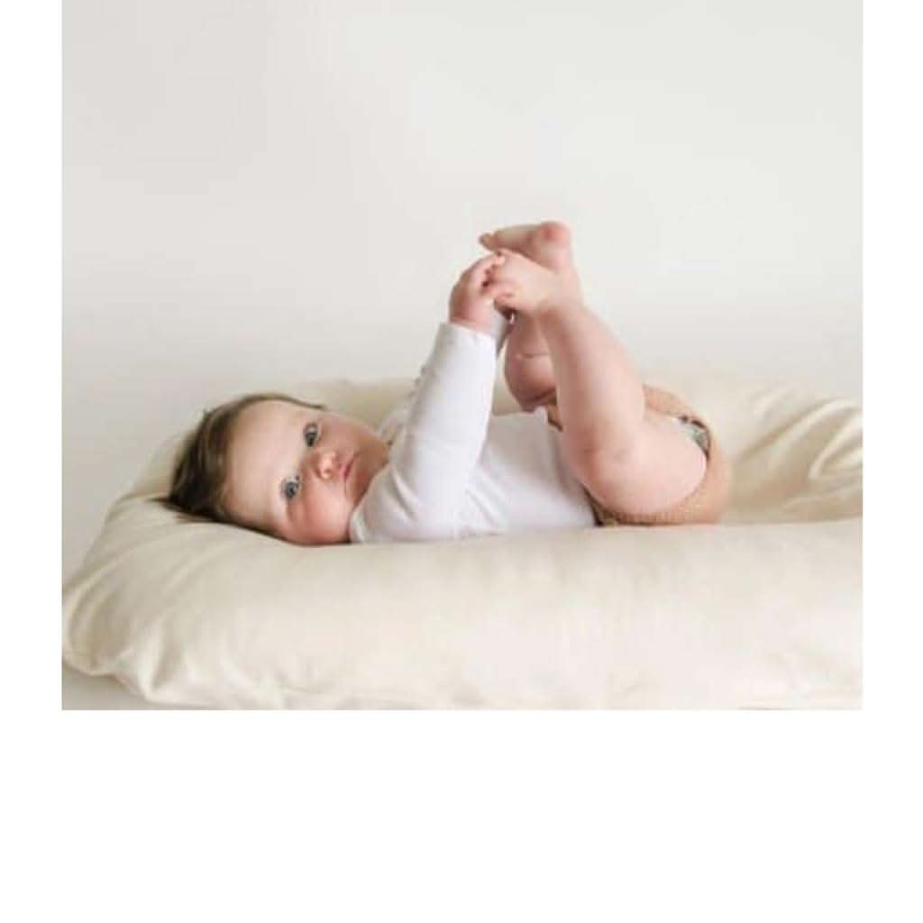 Snuggle Me Organic Cotton Covers, ANB BABY