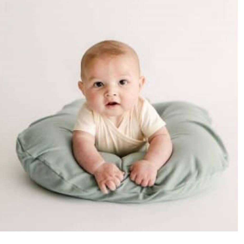 Snuggle Me Organic Cotton Covers, ANB BABY