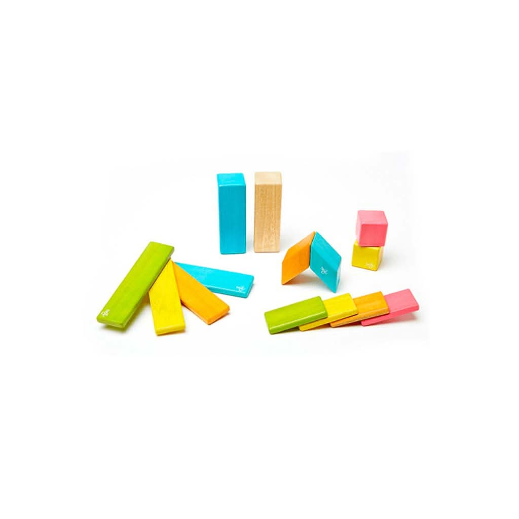 Tegu Magnetic Wooden Block Set, Tints 14 - 42 Piece Sets, ANB BABY