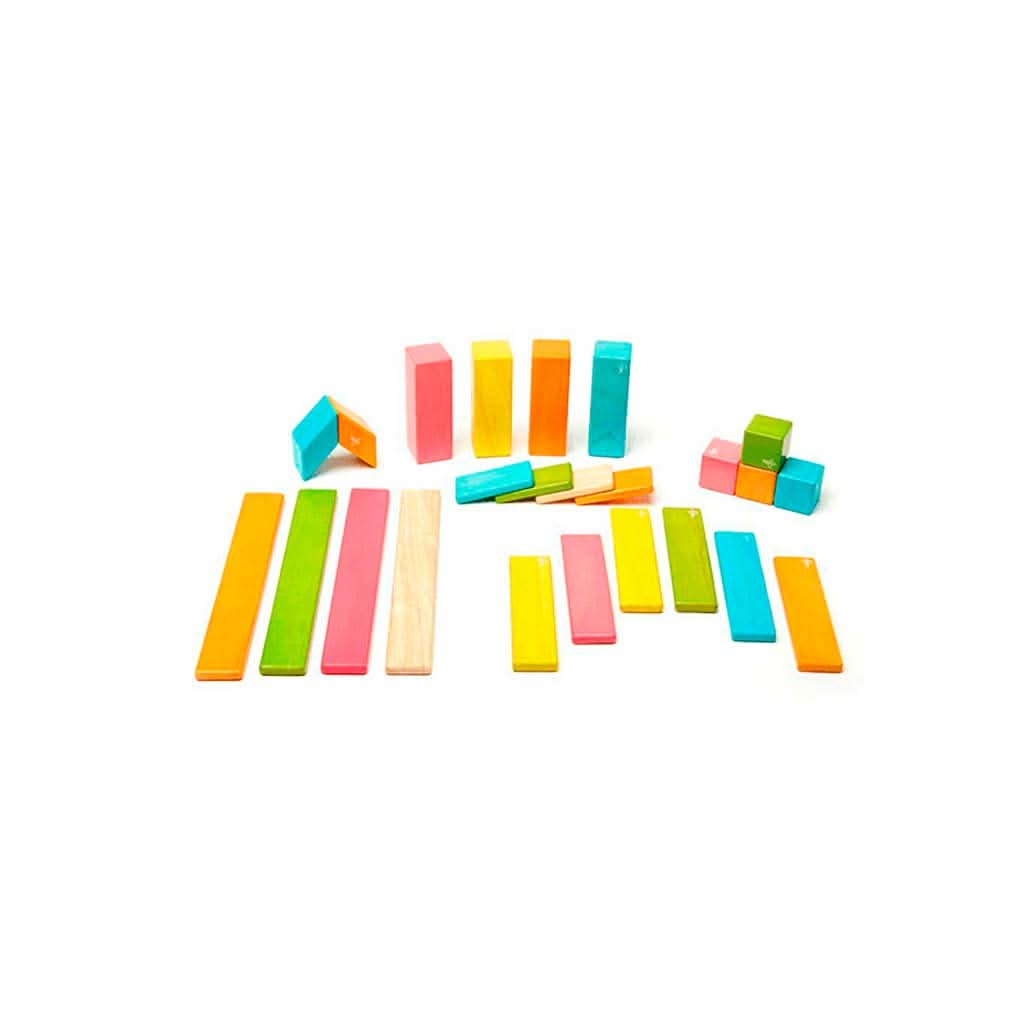 Tegu Magnetic Wooden Block Set, Tints 14 - 42 Piece Sets, ANB BABY