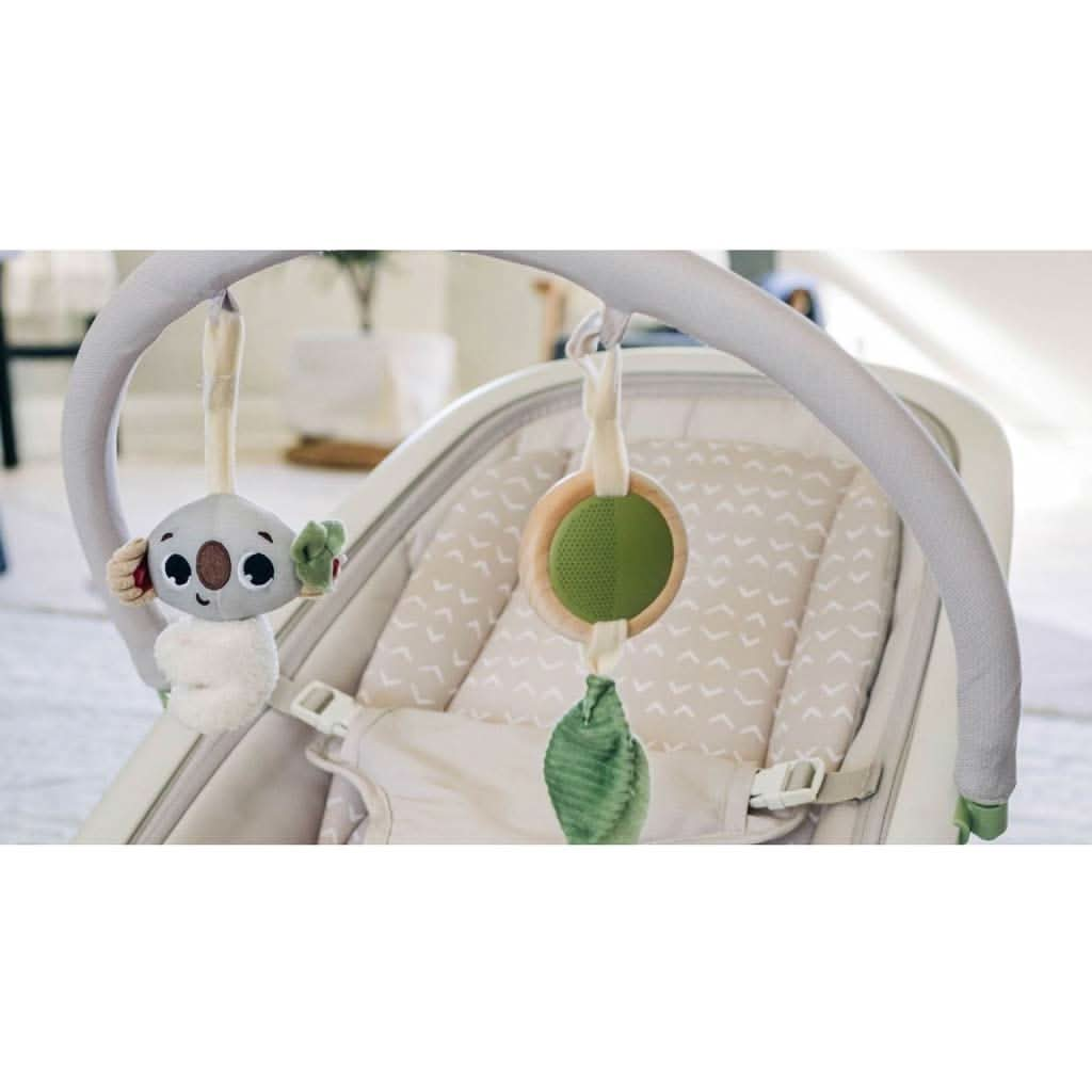 Tiny Love Kori 2 in 1 Rocker, Boho Chic, ANB BABY