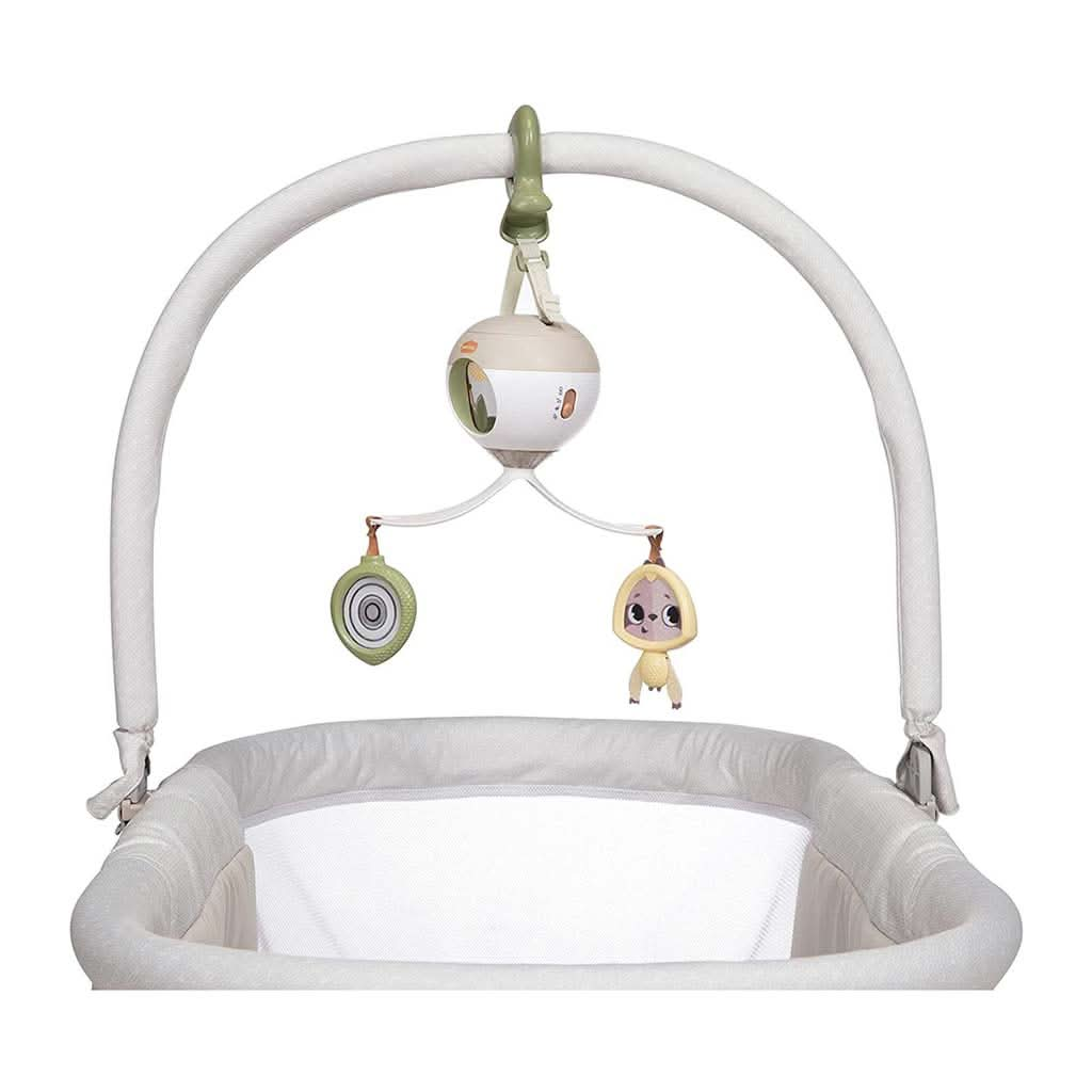 Tiny Love Take Along Deluxe 2 in 1 Bassinet, Boho Chic, ANB BABY