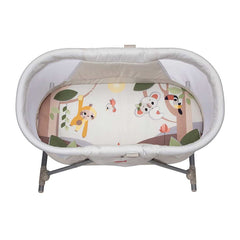 Tiny Love Take Along Deluxe 2 in 1 Bassinet, Boho Chic, ANB BABY