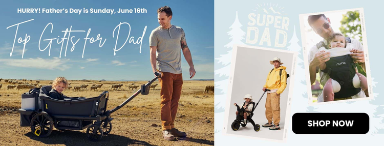 Top Gifts for Dad