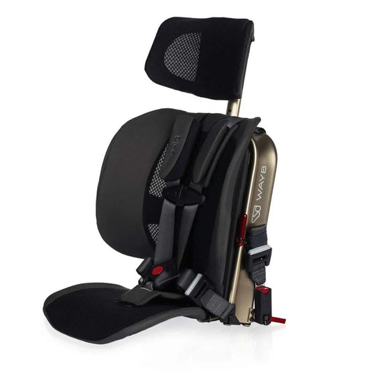 Wayb Pico Forward Facing Travel Car Seat, ANB BABY