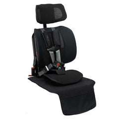 Wayb Vehicle Protector, Onyx, ANB BABY