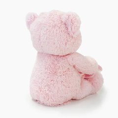 GUND First Teddy Peek A Boo Pink, Plush Toy, -- ANB Baby