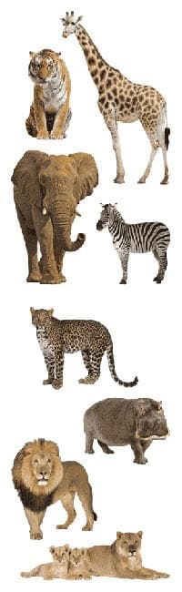 Mrs Grossman's Strip of Photoessence of Wild Animals Stickers, -- ANB Baby